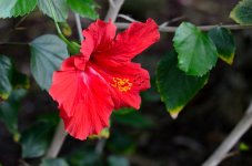 15th July 2015 020.JPG