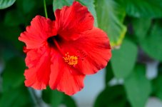 15th July 2015 021.JPG