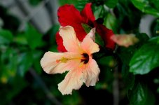 15th July 2015 022.JPG