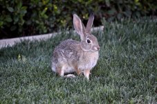 16th July 2015 002.JPG