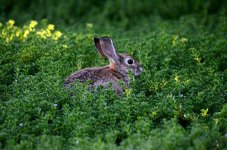 16th July 2015 003.JPG