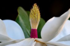 16th July 2015 010.JPG