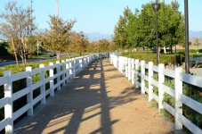 16th July 2015 011.JPG