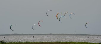 MCC_8192.jpg