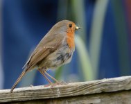 DSC_0006.jpg