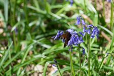 May Day Bank Holiday-0200-copy.jpg