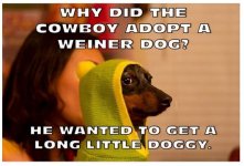 cowboy joke.JPG