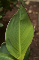 _AAA5760 - Version 2.jpg