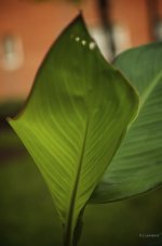 _AAA5762 - Version 2.jpg