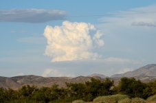 17th July 2015 089.JPG