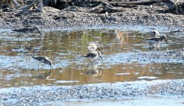 17th July 2015 059.JPG