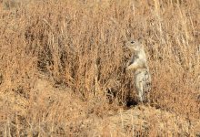 17th July 2015 088.JPG