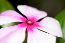DSC_0774.jpg