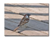 DSC_0103.jpg
