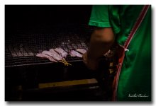 grill station banbung ype (8).jpg