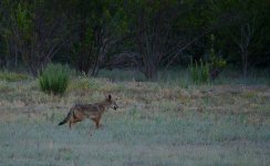 18th July 2015 022.JPG