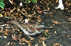 18th July 2015 046.JPG