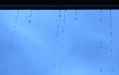 18th July 2015 048.JPG