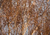 untitled-1-180.jpg
