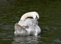 DSC_0164.jpg