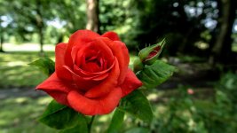 DSC_0688.jpg