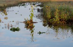 19th July 2015 011.JPG