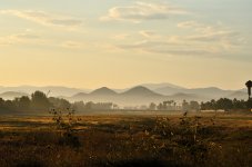 19th July 2015 014.JPG