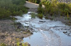 19th July 2015 015.JPG