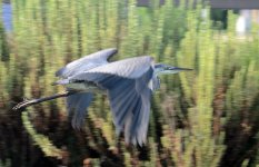 19th July 2015 024.JPG