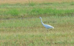 19th July 2015 041.JPG