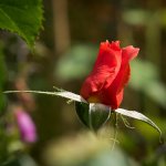 Vals-18.jpg