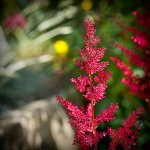 Vals-10.jpg