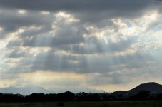 20th July 2015 035.JPG