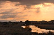 20th July 2015 040.JPG