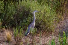 20th July 2015 021.JPG