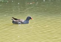 DSC_0189.jpg