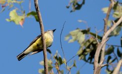 21th July 2015 012.JPG