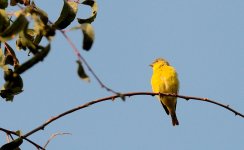 21th July 2015 020.JPG