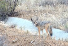 21th July 2015 048.JPG