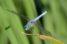 22nd July 2015 009.JPG