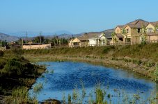 22nd July 2015 039.JPG