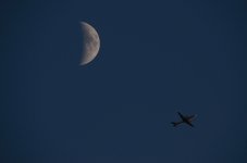 22nd July 2015 045.JPG