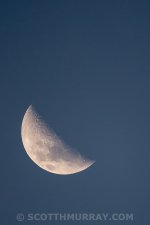 20150723-20150723-D60_6766.jpg