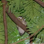 GSC_5026.jpg