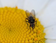DSC_4166.jpg