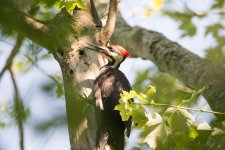 DSC_0473.jpg