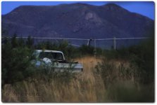 chevy-bush-cr.jpg