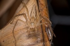 20150724-20150724-SHM_1665.jpg