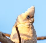 untitled-1-228.jpg