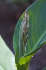 _AAA5848 - Version 5.jpg